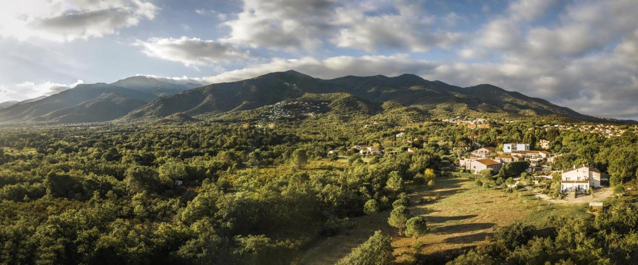 Domaine Pedra Llampada Gite Cerise Villelongue-dels-Monts Extérieur photo